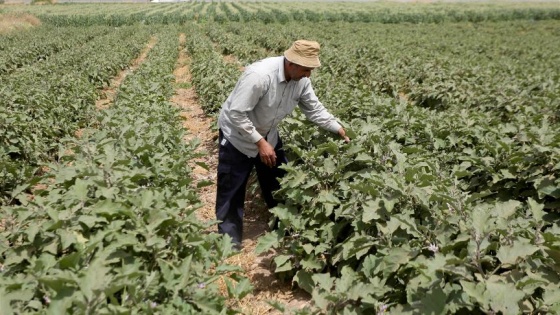 İsrail Filistinlileri sudan da mahrum bıraktı