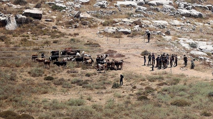 İsrail, işgal altındaki Batı Şeria'da Filistinlilere ait yüzlerce dönümlük araziye el koydu