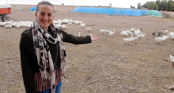 İşsizdi, köyde kurduğu kaz tesisiyle kendi işinin patronu oldu