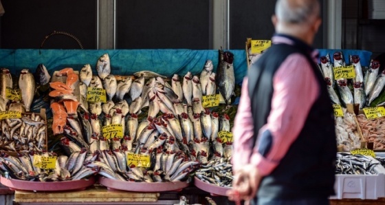 İstanbul’da balık fiyatları cep yakıyor