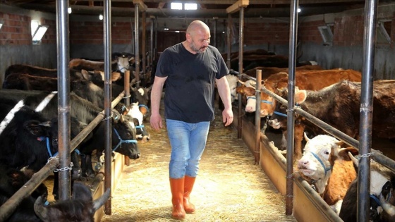 İstanbul'da müdürlüğü bırakan muhasebeci köyüne dönerek hayvancılık yapmaya başladı