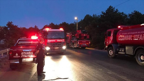 İstanbul'da orman yangını söndürüldü