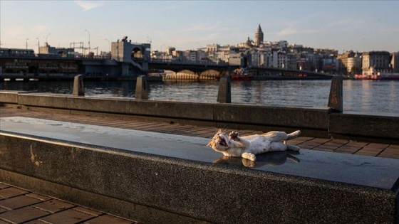 İstanbul güne sakin başladı