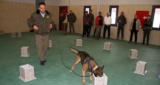 İstanbul Havalimanı'nda apron güvenliği özel köpeklere emanet