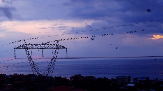 İstanbul'un 10 ilçesine elektrik verilemeyecek