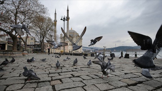 İstanbul'un simge meydanlarının tek sakini güvercinler