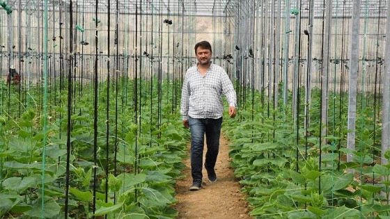 İthalattan bıktı, kendi hibrit tohum tesisini kurdu