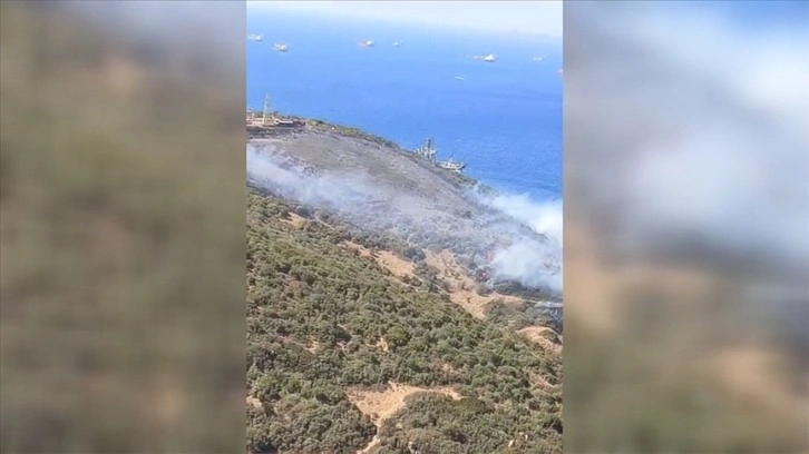 İzmir Aliağa'da orman yangını çıktı