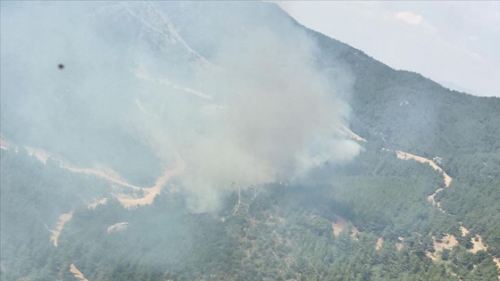 İzmir'de çıkan orman yangınına müdahale ediliyor