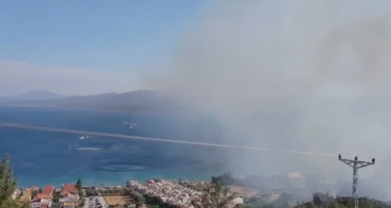 İzmir'de ikinci orman yangını