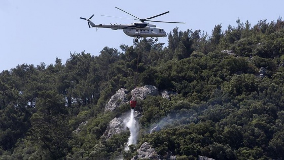 İzmir'de makilik alanda yangın