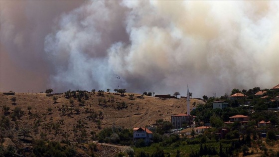 İzmir'de orman yangınları