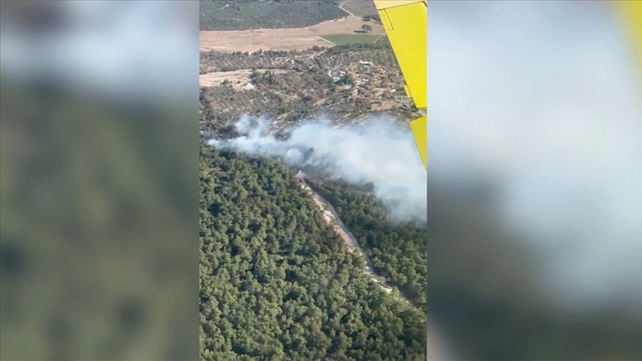 İzmir'de tarım arazisinde çıkıp ormana sıçrayan yangın kontrol altına alındı