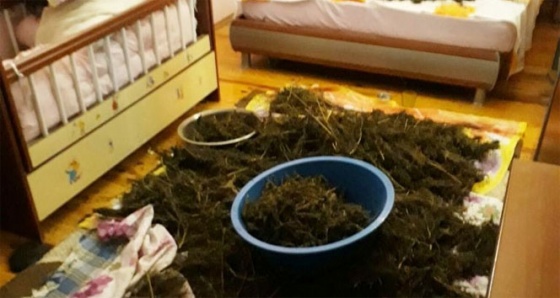 İzmir'de uyuşturucu operasyonu: 11 kilo esrar ele geçirildi