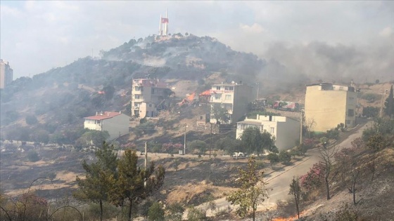 İzmir'de zeytinlik alanda yangın