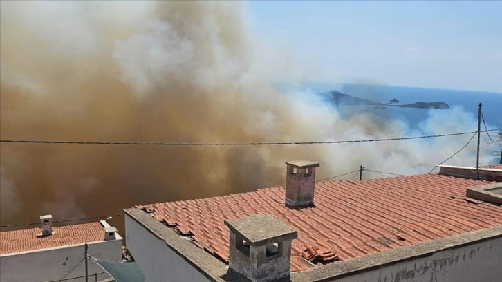 İzmir Dikili'de çıkan orman yangınına müdahale ediliyor