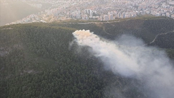 İzmir'de çıkan orman yangınına havadan ve karadan müdahale ediliyor