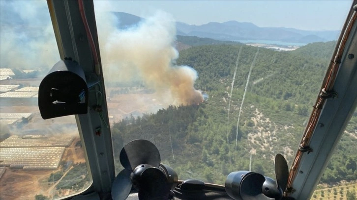 İzmir'de seraların bulunduğu bölgede çıkan yangın ormana sıçradı