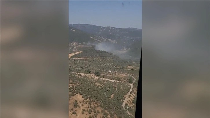 İzmir'in Torbalı ilçesinde çıkan orman yangınına müdahale ediliyor