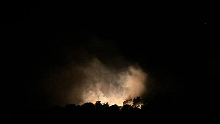 İzmir'in Urla ilçesindeki orman yangını kontrol altına alındı