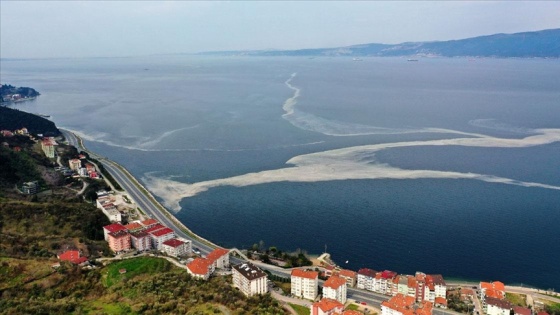 İzmit Körfezi'nde deniz salyası beyaz tabaka oluşturdu