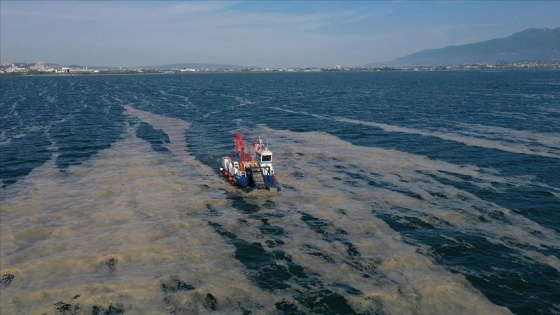 İzmit Körfezi'nden 100 ton deniz salyası temizlendi