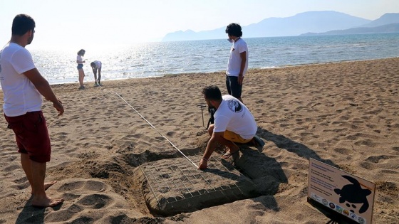 İztuzu 'caretta carettalar'la canlandı