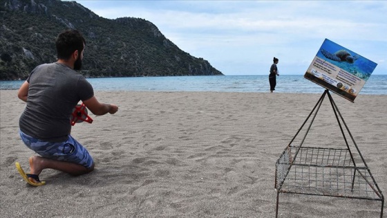 İztuzu Plajı'ndaki yuva sayısı 28'e ulaştı