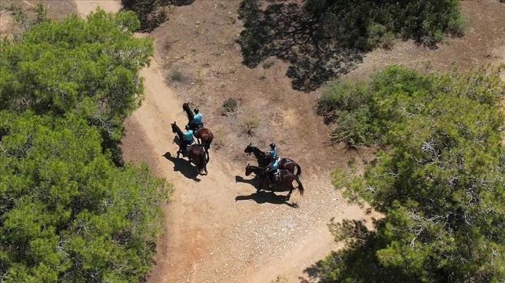 Jandarma ekipleri, yangınları önlemek için arazi araçları ve atlarla ormanlarda devriye atıyor