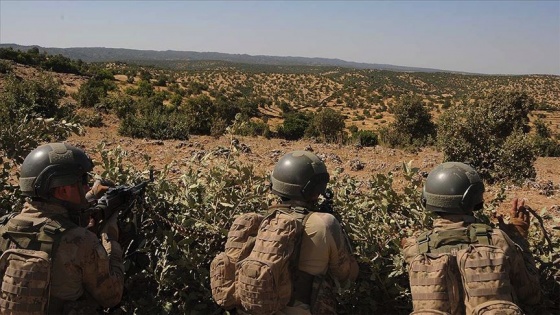 Jandarma ekiplerinin ikna ettiği PKK'lı terörist teslim oldu