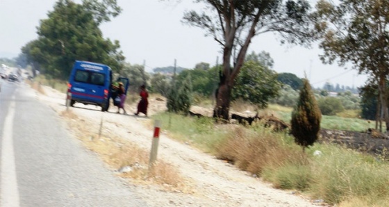 Jandarma yol kenarındaki rezalete el koydu