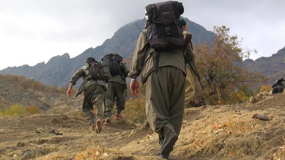 Jandarmanın iknasıyla terör örgütü PKK'da yönetici düzeydeki 3 terörist teslim oldu