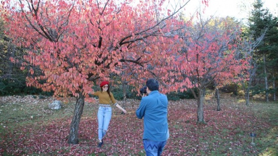 Japon Bahçesi'nde sonbahar güzelliği