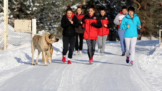 Judocular dağda köpeklerle koşuyor