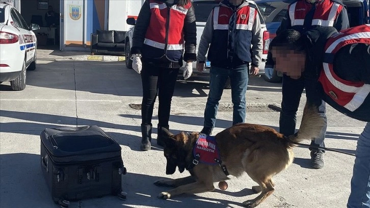 Kaçakçıların naftalinli ve parfümlü zula yöntemi 'Asır'ın hassas burnundan kaçmadı