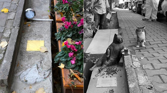 Kadıköy'deki kedi Tombili'nin heykeli çalındı