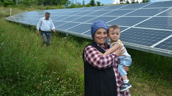 Kadın girişimci 'tarlada' elektrik üretiyor