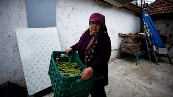 'Kadın için daha zor' olsa da pazarcılıkla 25 yıldır ailesini geçindiriyor