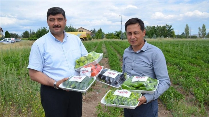 Kahramankazan'da belediye çalışanları, ihtiyaç sahipleri için sebze üretiyor