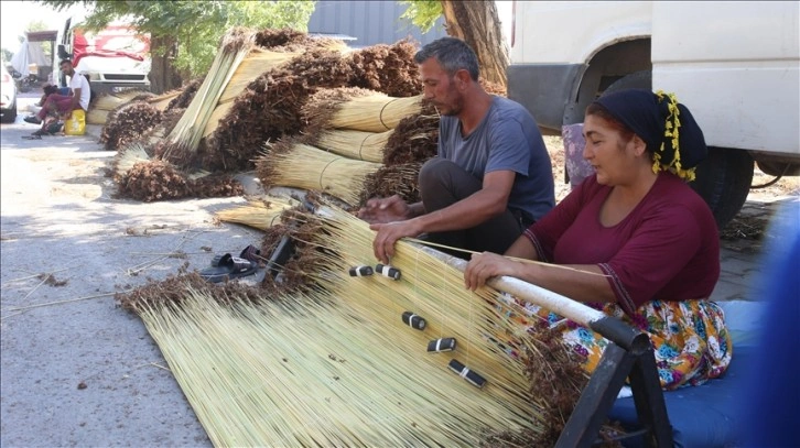 Kahramanmaraş'ta mevsimlik işçiler 