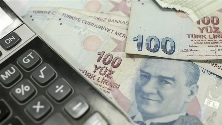 Kamu alacakları için gecikme zammı oranı yüzde 2,5 oldu