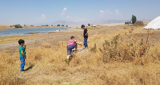 Kanalizasyon suyu tehlike saçıyor