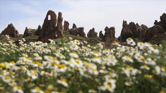 Kapadokya 'çiçek açtı'