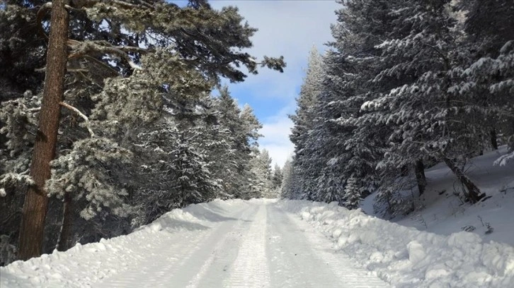 Kar kalınlığının 1,5 metreye ulaştığı Kars'taki köylerde yol açma çalışmaları sürüyor