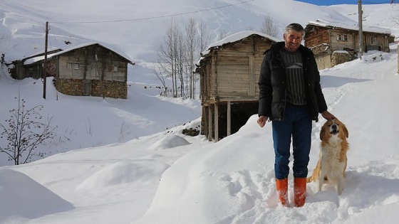 Kar nedeniyle mahsur kalan köpek kurtarıldı