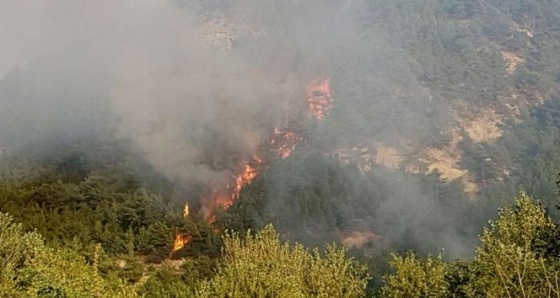 Karabük’te orman yangını...