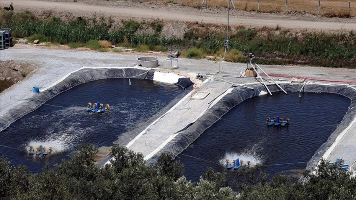 Karadaki kültür balıkçılığı tesisleri için yeni düzenleme Resmi Gazete'de