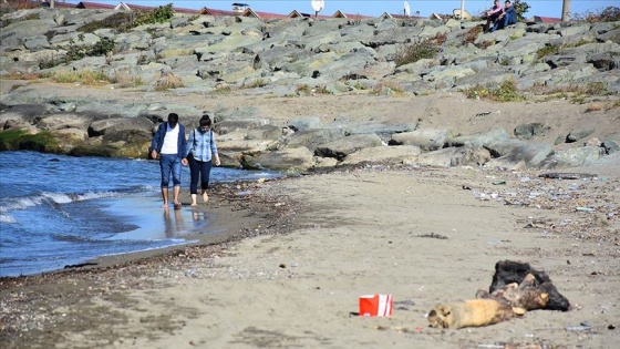 Karadeniz'de deniz çöplerinin araştırması yapılacak