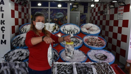 Karadeniz'de palamut salamurası sezonu başladı