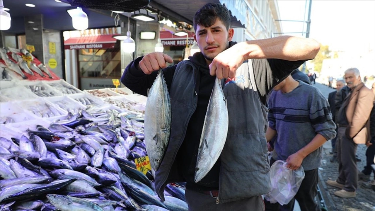 Karadeniz'de yağlanan ve büyüyen palamut yüz güldürdü